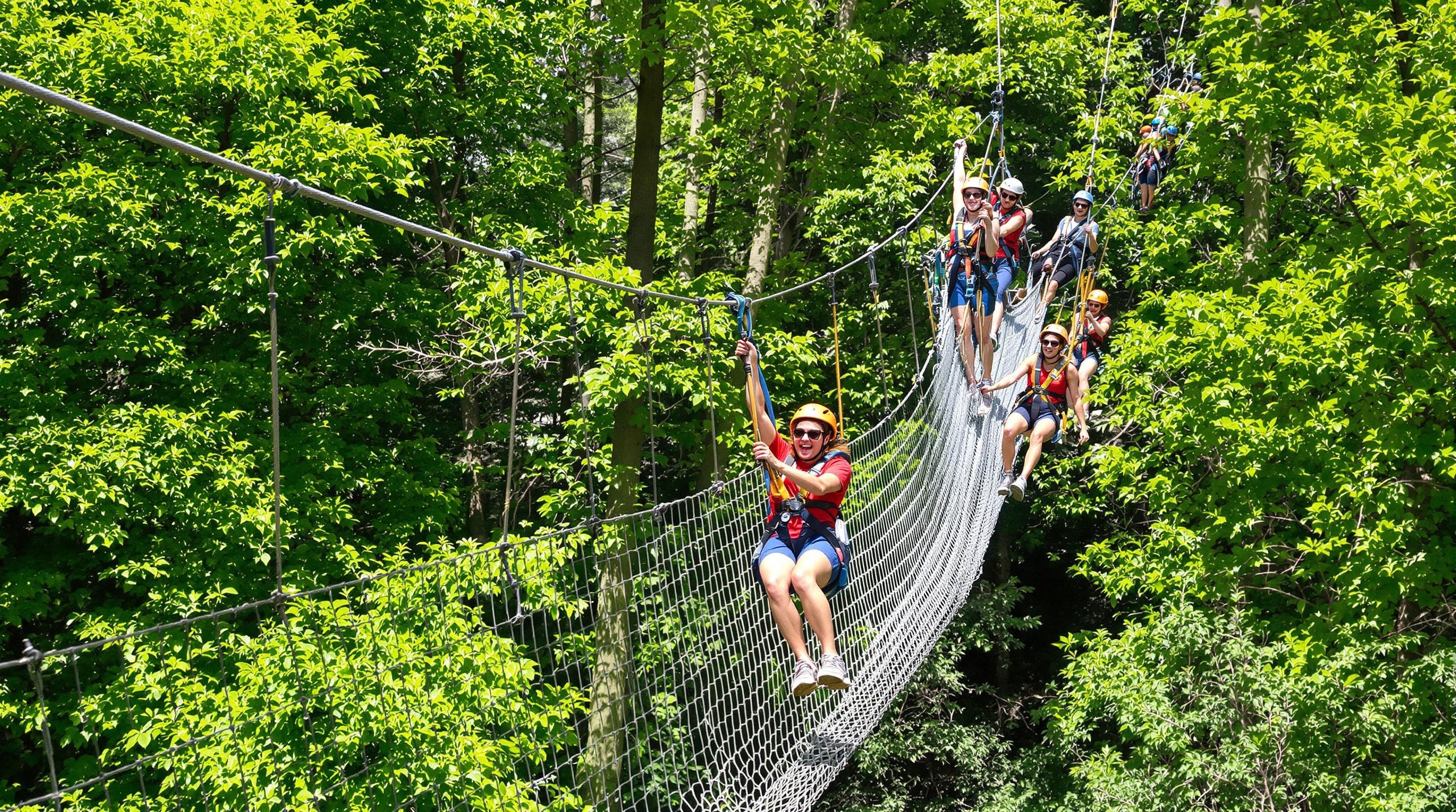 Accrobranche, tyrolienne et pont himalayen à Deauville, forêt normande, énergie sportive