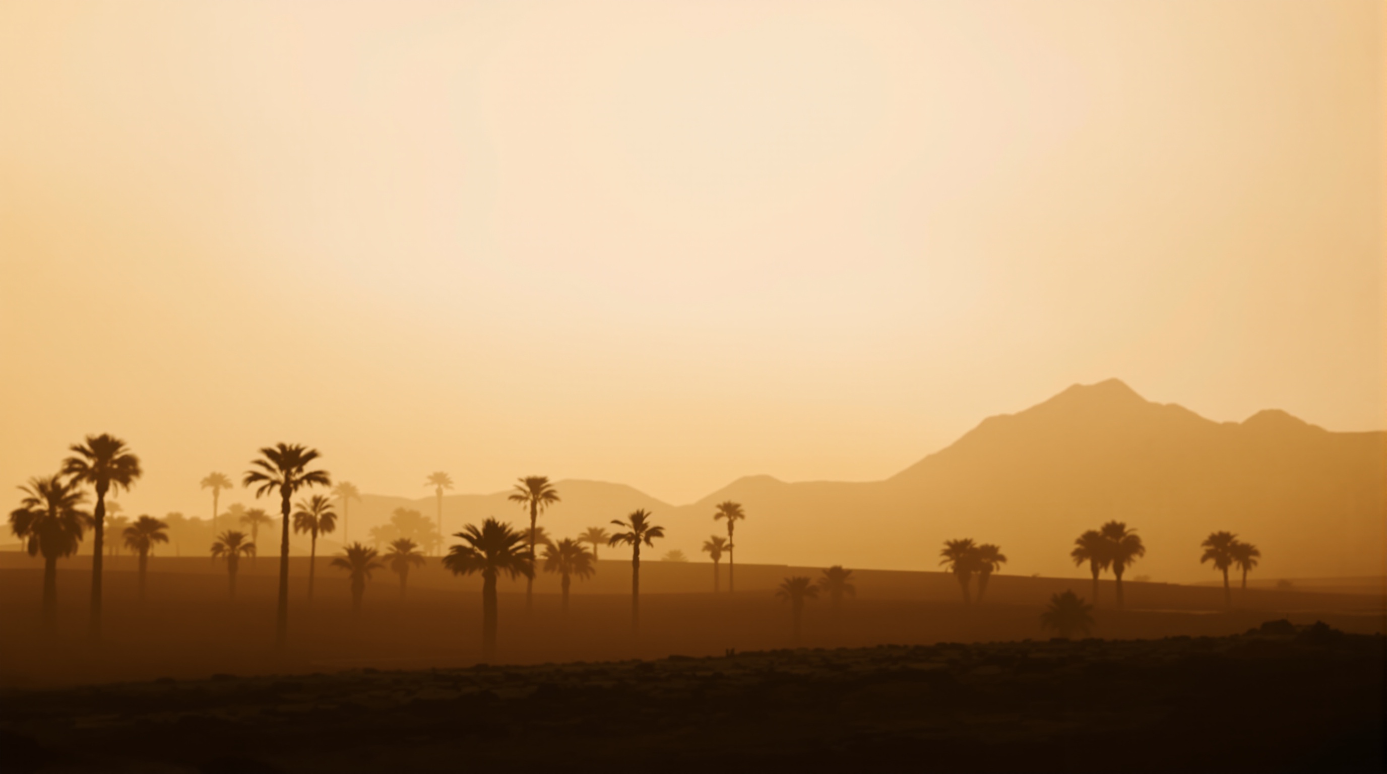 Paysage de Lanzarote sous effet Calima, ciel ocre et silhouettes floues.